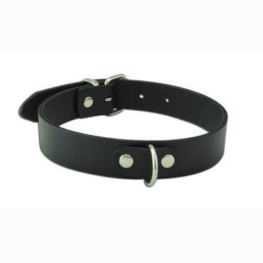 300-2 Plain D-Ring Collar - Small