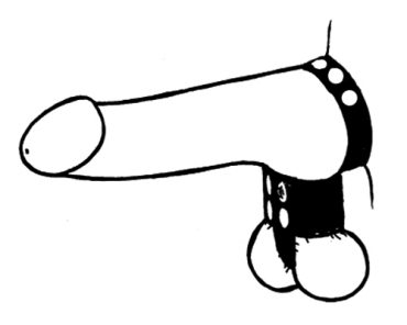 109-1 Stretcher/divider & Cock Ring (leather)